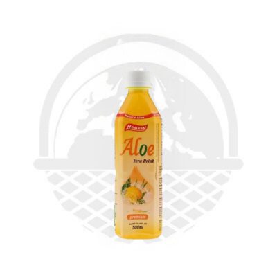 Boisson Aloe Vera / Mangue HOUSSY 500mL